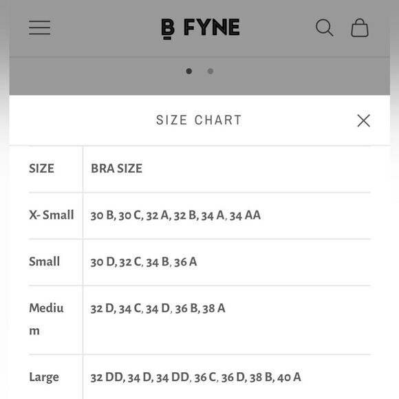 BFYNE One Piece Bathing Suit Long Sleeve Mesh Cut Out Medium EUC - Picture 11 of 11